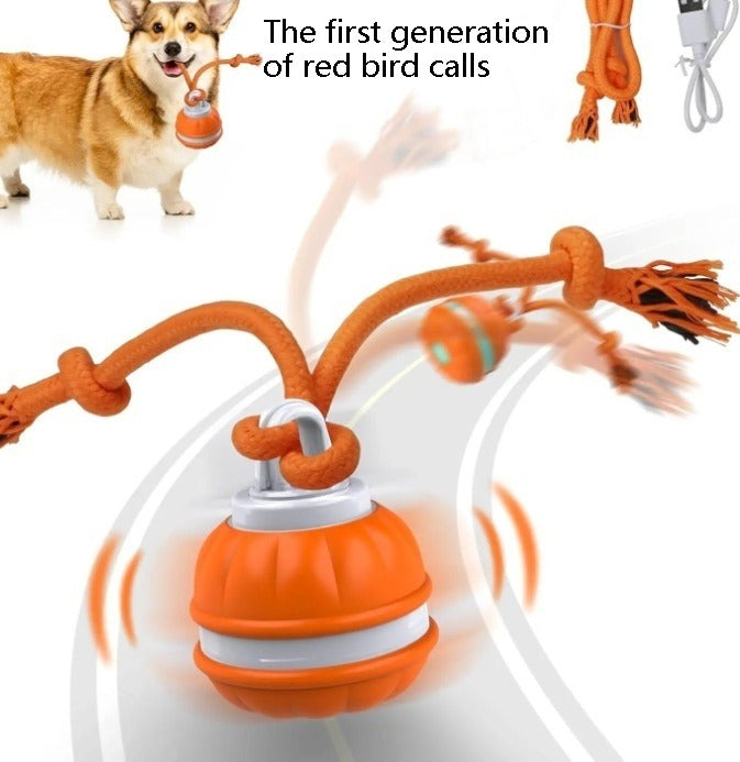 Interactive Rolling Ball Pet Toy – USB Rechargeable for Dogs & Cats