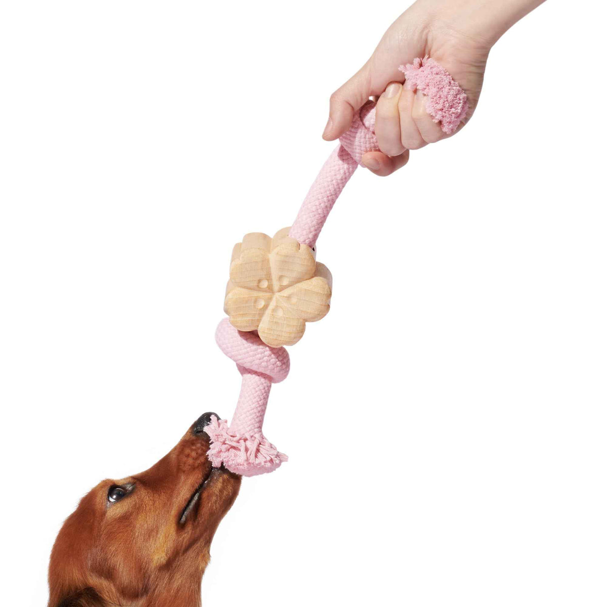 Durable Dog Rope Tug Toy | Natural Cotton, Dental Care