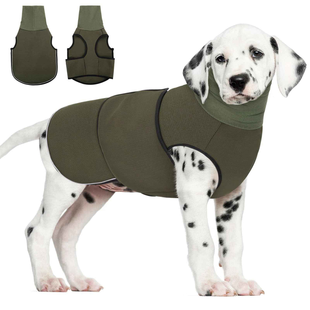 Dalmatian puppy wearing a green dog calming hoodie with breathable mesh, ear protection, and reflective strips, size large