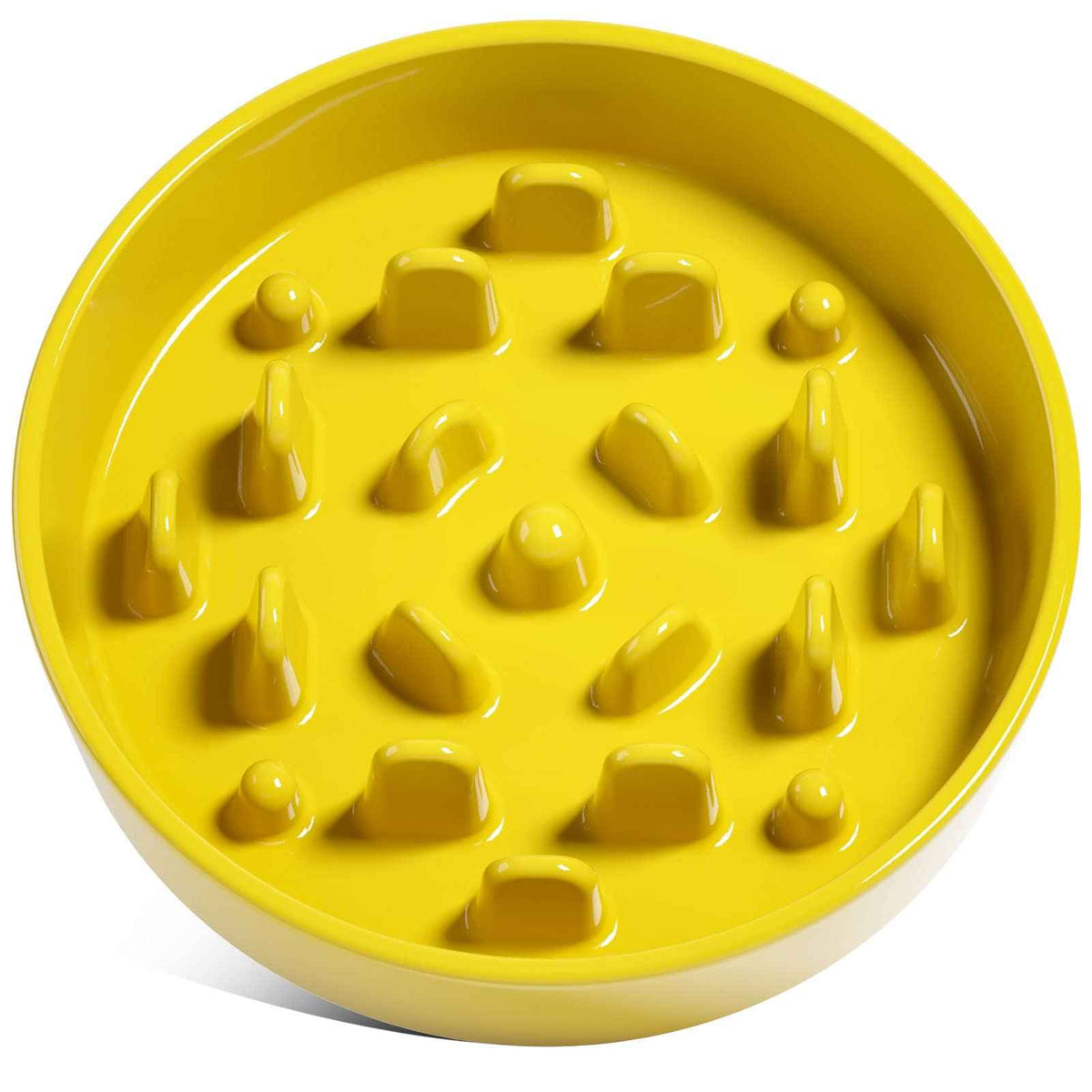 Ceramic Slow Feeder Dog Bowl | Maze Pattern
