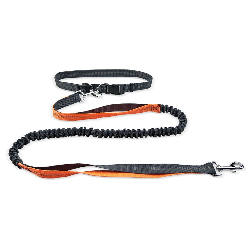 Hands-Free Dog Walking Belt with Shockproof Leash