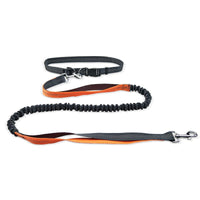 Hands-Free Dog Walking Belt with Shockproof Leash