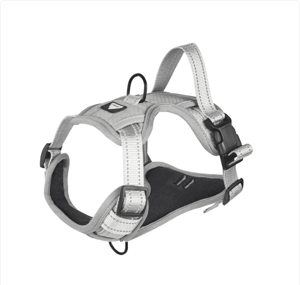 Reflective Dog Harness


