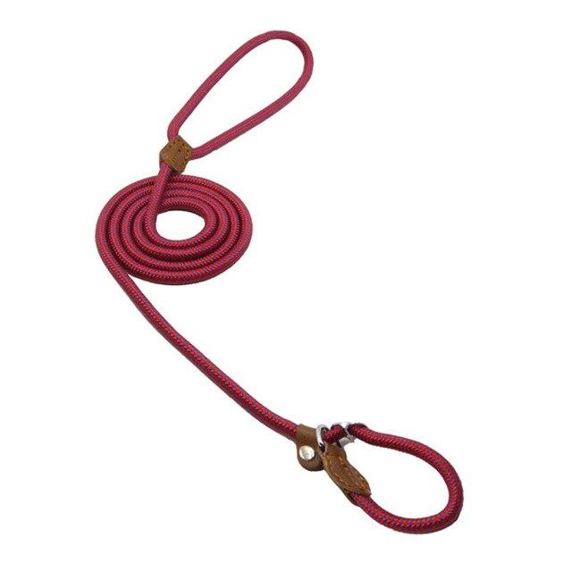 Nylon Dog Collar & Lead Set – Adjustable, Durable & Available in Multiple Colours