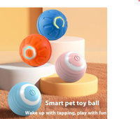 Interactive Smart Dog Toy Ball