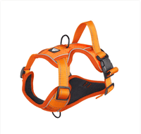 Reflective Dog Harness


