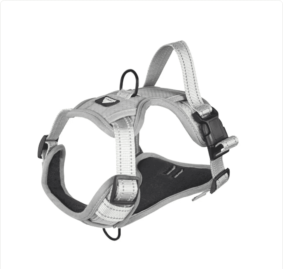 Reflective Dog Harness

