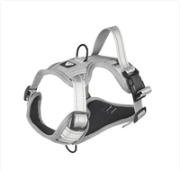 Reflective Dog Harness

