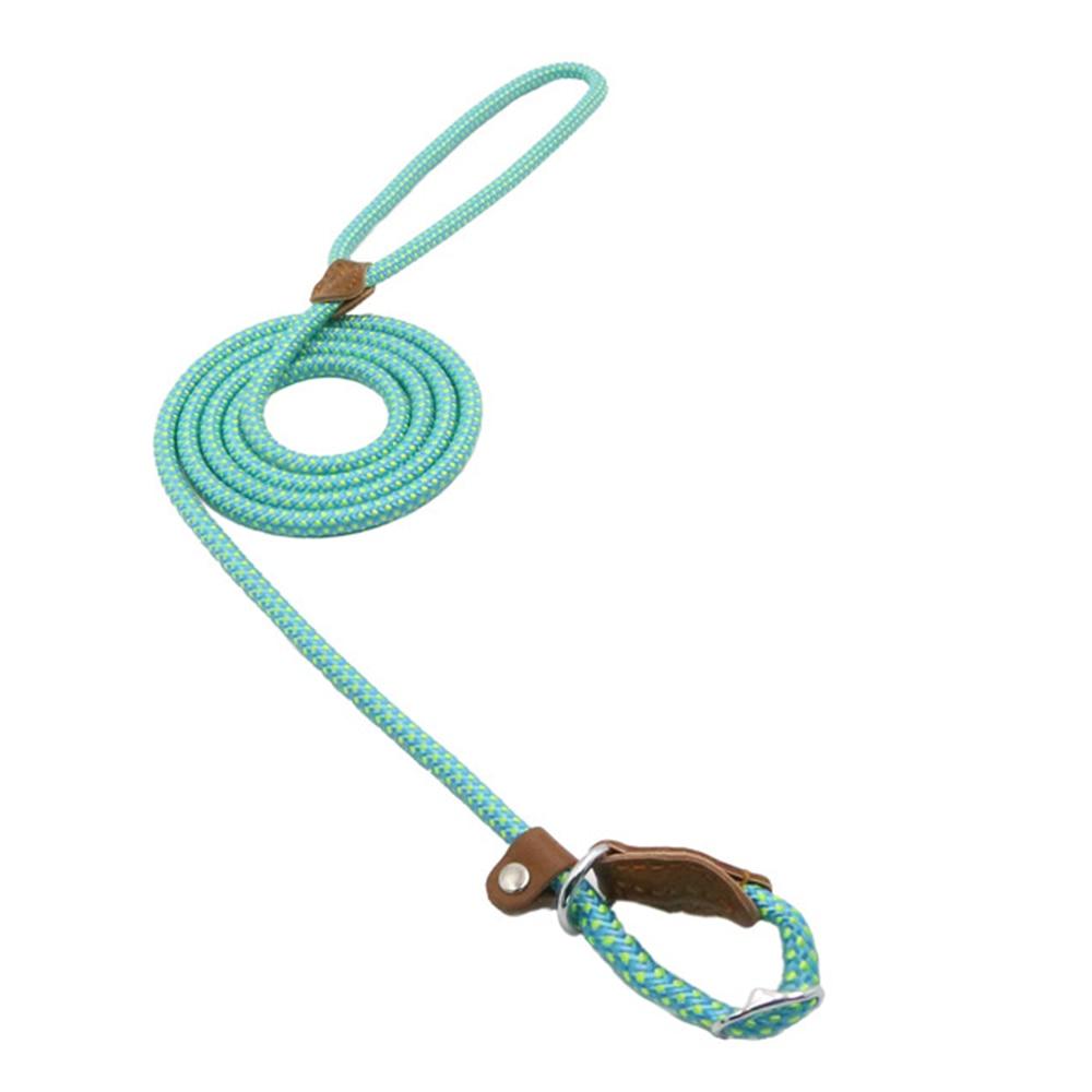 Nylon Dog Collar & Lead Set – Adjustable, Durable & Available in Multiple Colours