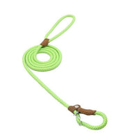 Nylon Dog Collar & Lead Set – Adjustable, Durable & Available in Multiple Colours