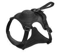 Adjustable Dog Harness for Outdoor Training

