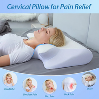 2-in-1 Memory Foam Cervical Neck Pillow – Neck Pain Relief & Spinal Support