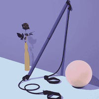Pilates Resistance Stick