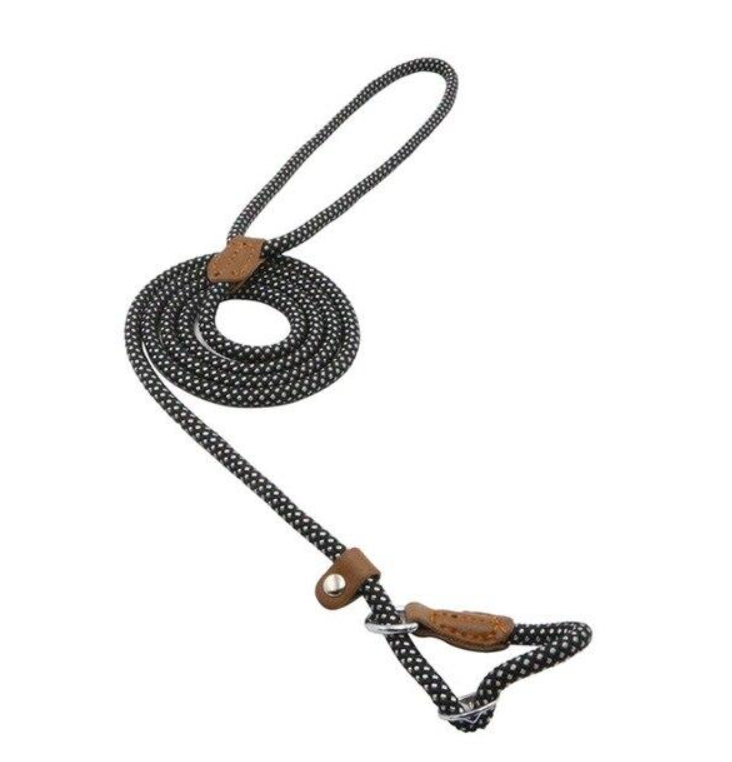 Nylon Dog Collar & Lead Set – Adjustable, Durable & Available in Multiple Colours