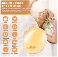 Sunrise Alarm Clock Wake-up Light

