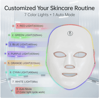 LED Therapy Face Mask