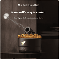 Flame Aromatherapy Humidifier

