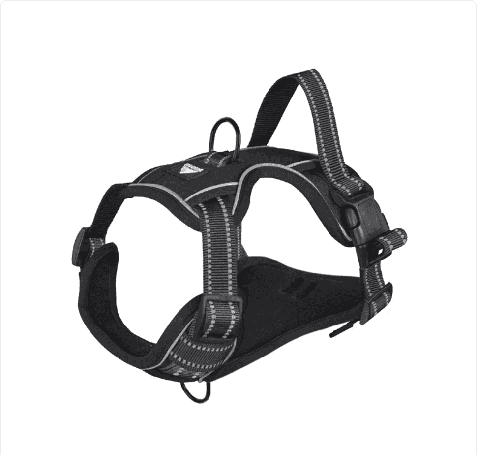 Reflective Dog Harness

