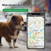 Bluetooth Pet GPS Tracker | No SIM, No Subscript...

