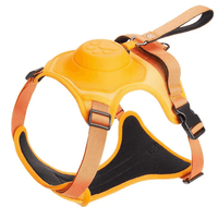 Adjustable Dog Harness for Outdoor Training

