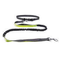 Hands-Free Dog Walking Belt with Shockproof Leash