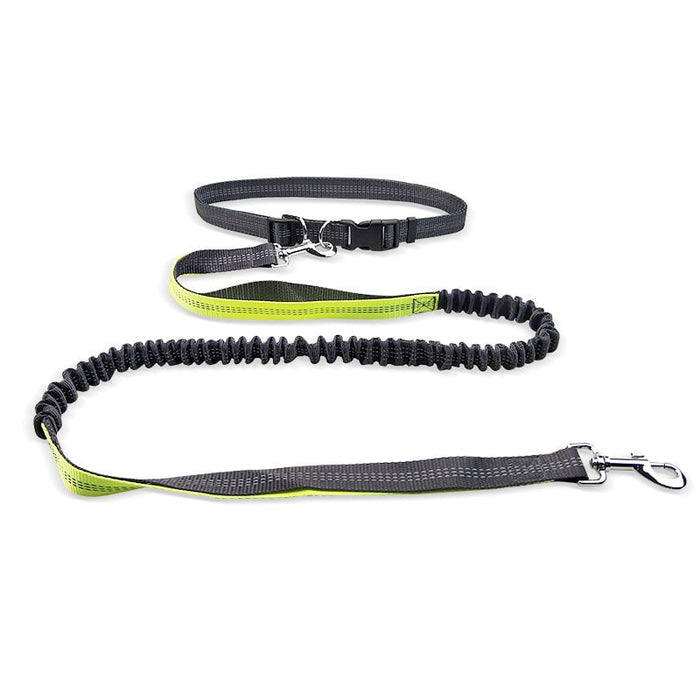 Hands-Free Dog Walking Belt with Shockproof Leash