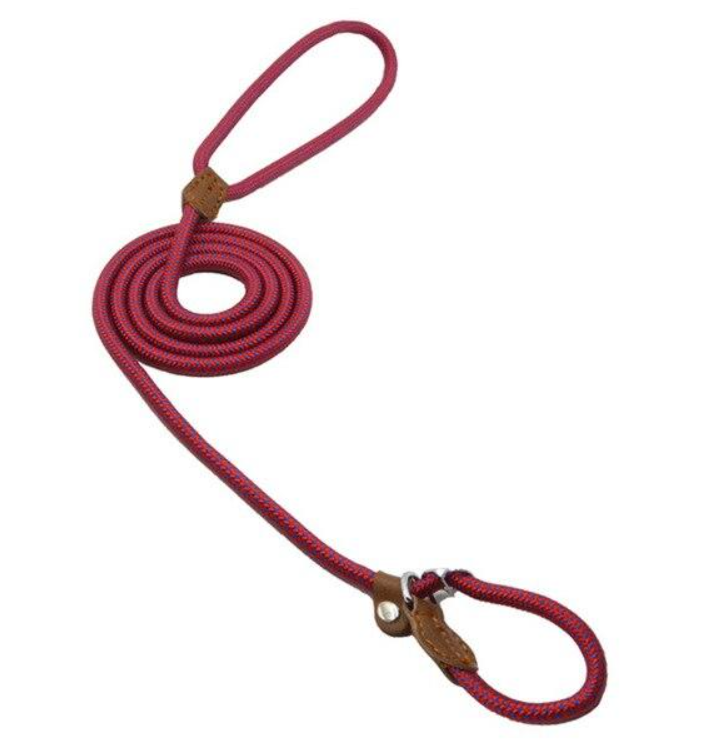 Nylon Dog Collar & Lead Set – Adjustable, Durable & Available in Multiple Colours