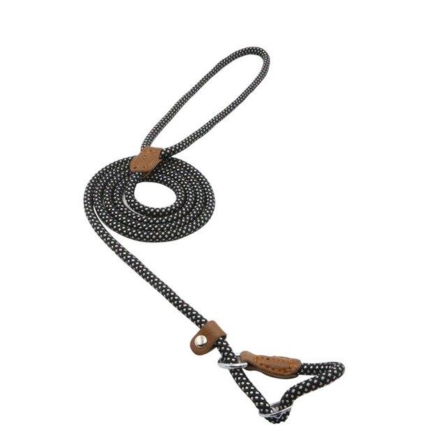 Nylon Dog Collar & Lead Set – Adjustable, Durable & Available in Multiple Colours