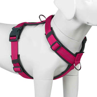 No-Pull Dog Harness | Adjustable Nylon, Soft Pad...

