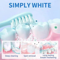 Activated Charcoal Teeth Whitening Powder – Whiten, Freshen & Polish