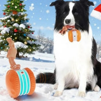 Interactive Rolling Ball Pet Toy – USB Rechargeable for Dogs & Cats