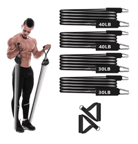 Portable Pilates Bar Kit