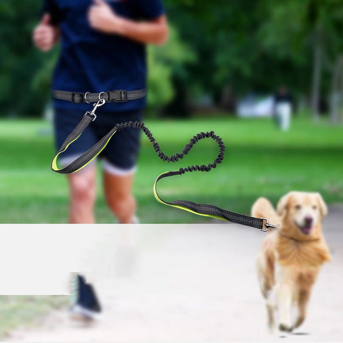 Hands-Free Dog Walking Belt with Shockproof Leash