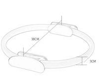 Pilates Ring