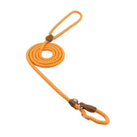 Nylon Dog Collar & Lead Set – Adjustable, Durable & Available in Multiple Colours