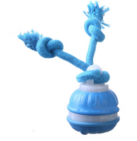 Interactive Rolling Ball Pet Toy – USB Rechargeable for Dogs & Cats