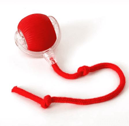 Self-Playing Rolling Cat Ball Toy for Indoor Cats