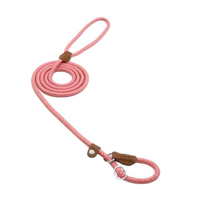 Nylon Dog Collar & Lead Set – Adjustable, Durable & Available in Multiple Colours