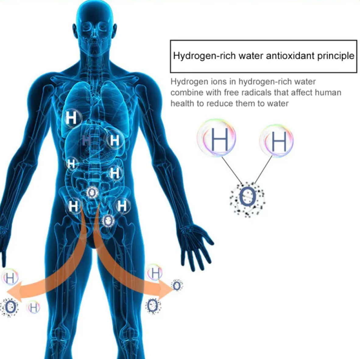 Hydrogen-Infused Water Cup – Electrolysis Technology for Antioxidant Hydration