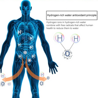 Hydrogen-Infused Water Cup – Electrolysis Technology for Antioxidant Hydration