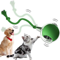 Smart Auto-Rolling Pet Ball Toy | Motion-Activated