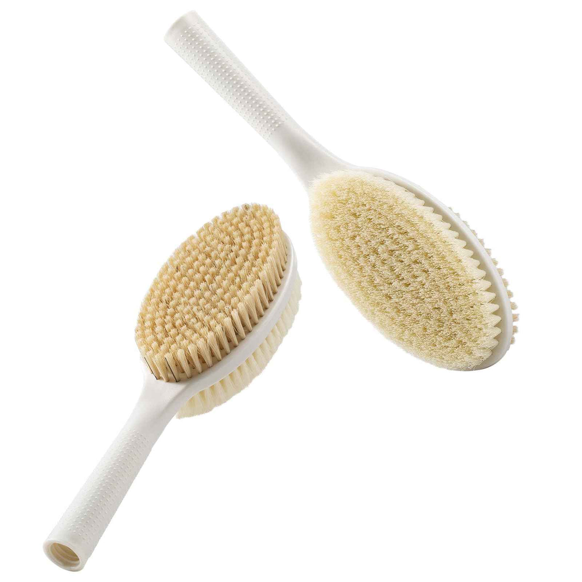 Backski Dual-Sided Dry Body Brush — 2-Pack Repla...

