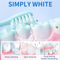 Teeth Whitening Powder – Enamel-Safe Stain Removal for a Brighter Smile