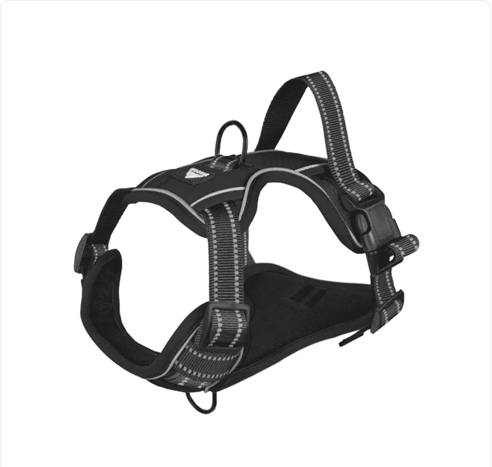 Reflective Dog Harness

