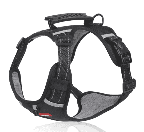 Reflective Dog Harness

