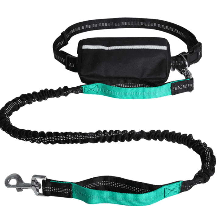 Hands-Free Reflective Dog Lead | Retractable, Ex...

