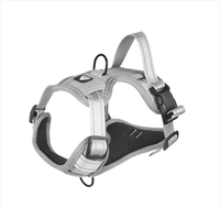 Reflective Dog Harness

