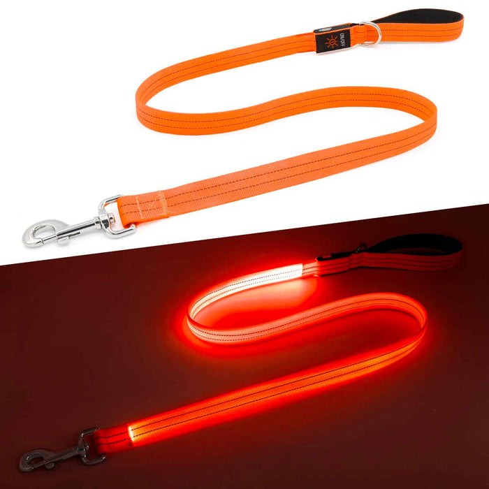 LED Light-Up Dog Leash | USB Rechargeable, 3 Lig...

