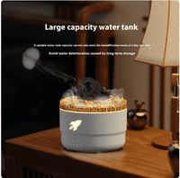 Flame Aromatherapy Humidifier

