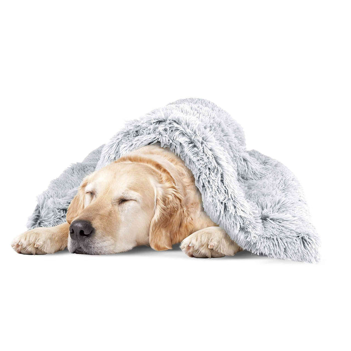 Light gray ultra-soft microplush dog blanket with fluffy texture, partially covering a sleeping golden retriever, ideal for calming anxiety.